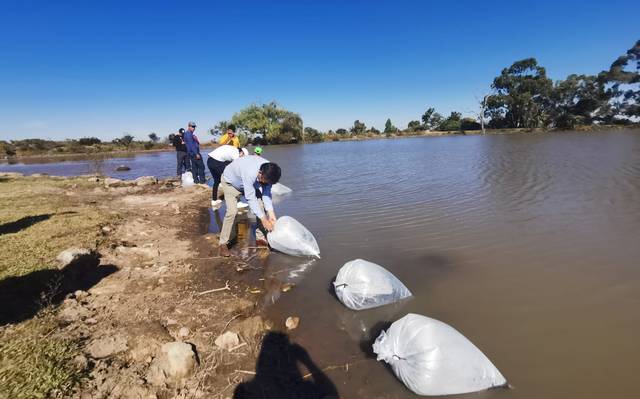 Buscan impulsar acuicultura en Tarímbaro