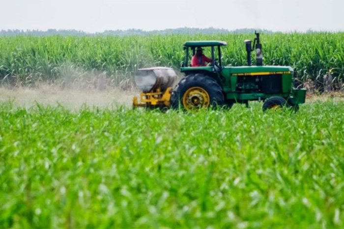 Aún y con panoramas adversos en el mundo, la economía estatal crece; INEGI calcula un 3.5%