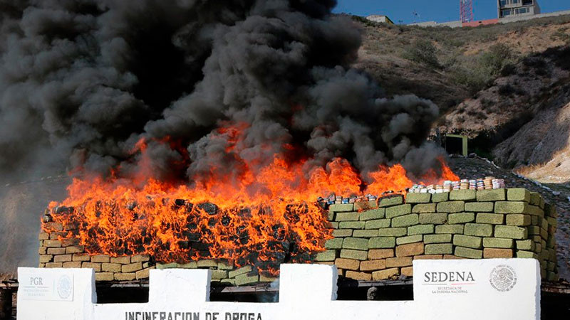 Incineran más de una tonelada de narcóticos decomisados en San Luis Potosí