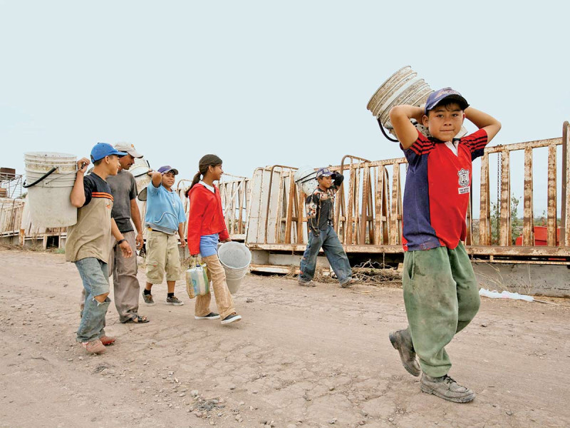 Debe abolirse el trabajo infantil; el ámbito rural, con mayor participación