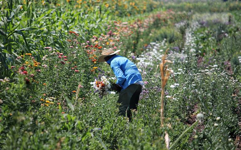 The remarkable rise of Ryan Mason