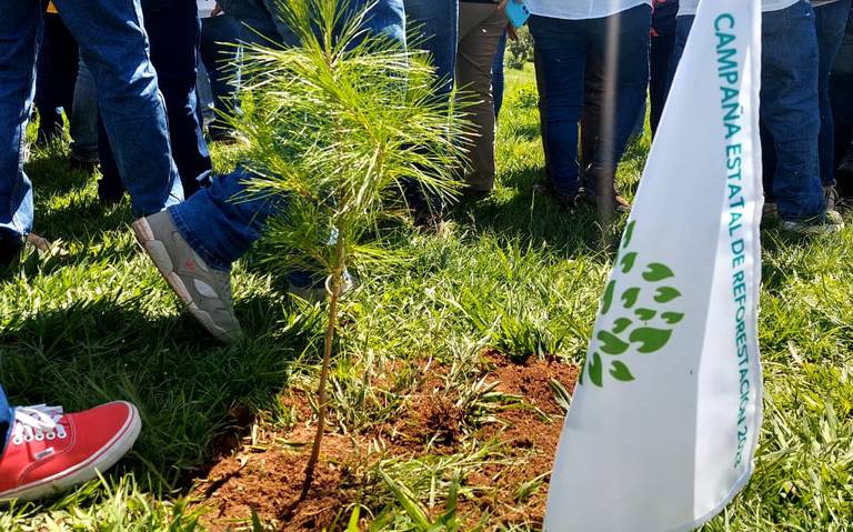 Designing search for your Product Business