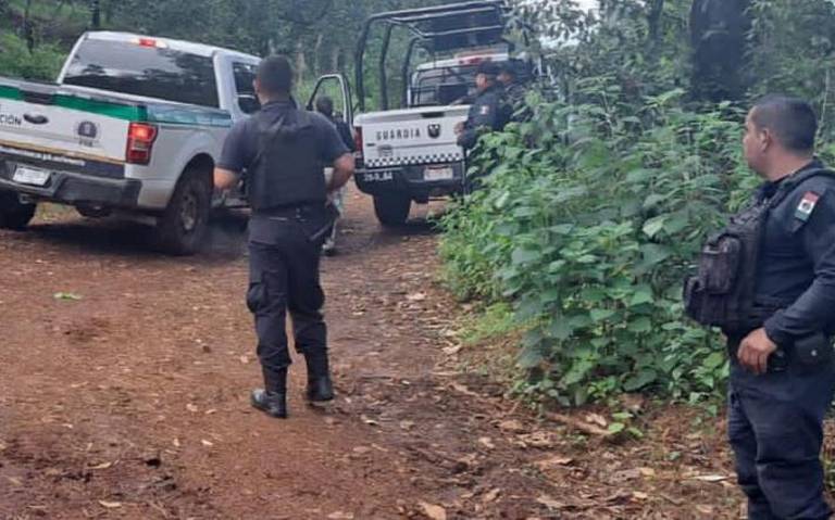Dos hombres fueron detenidos por tala clandestina, en Madero