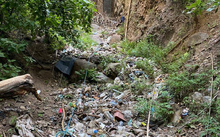 Extienden hasta 2024 búsqueda en fosa de Tacámbaro, confirma diputada