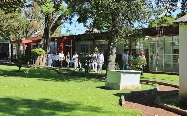 Fumigarán instalaciones de la UMSNH para prevenir chinches