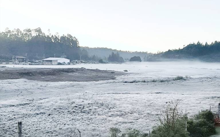 Cherán y Los Azufres amanecen de blanco por bajas temperaturas