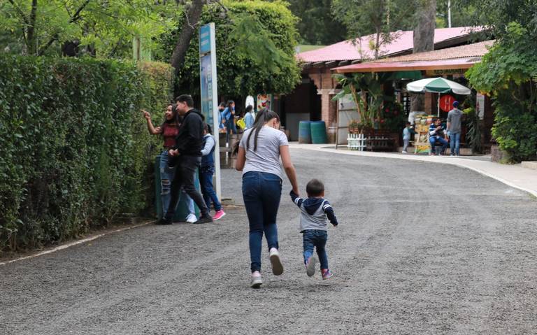 Zoológico de Morelia abrirá sus puertas en Navidad y Año Nuevo