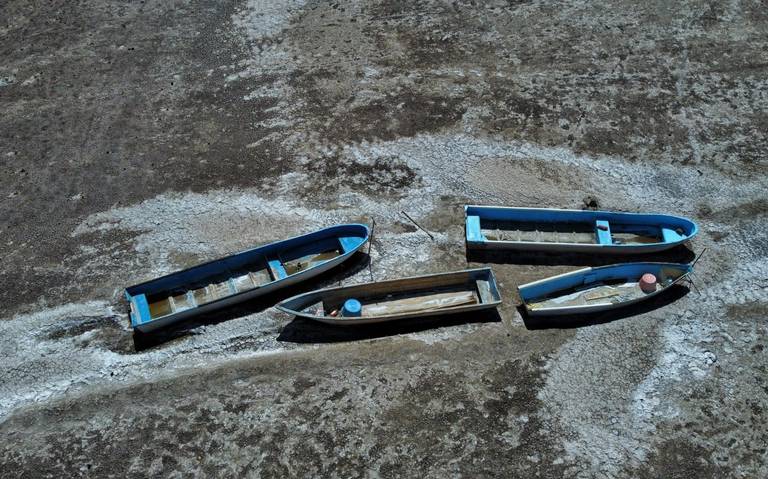 Sequía en Michoacán anticiparán incendios forestales, advierte gobernador