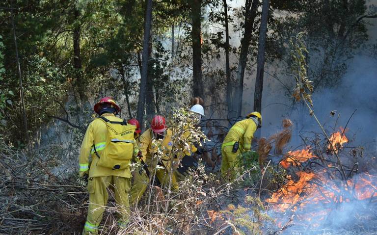 Este año van 20 incendios forestales en Michoacán