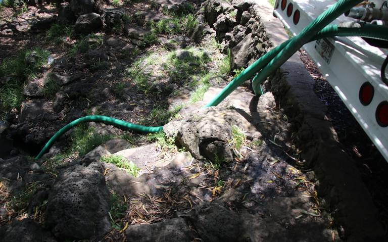 En 100 comunidades indígenas en Michoacán no tienen acceso a agua potable