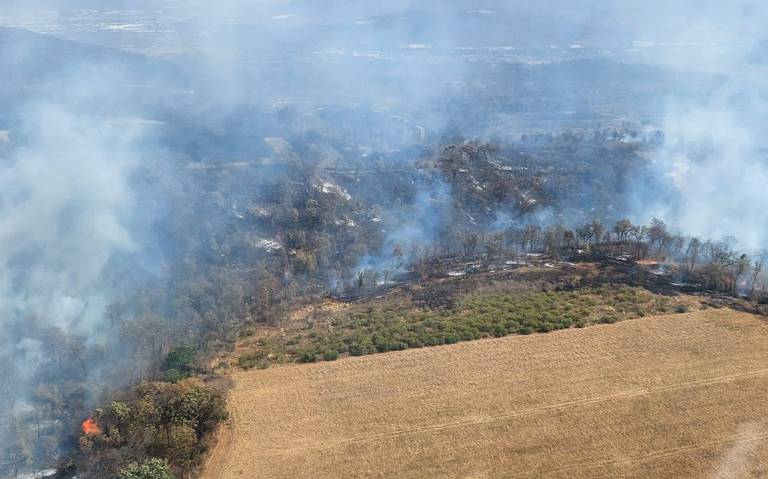 Tiene Michoacán 10 incendios forestales activos