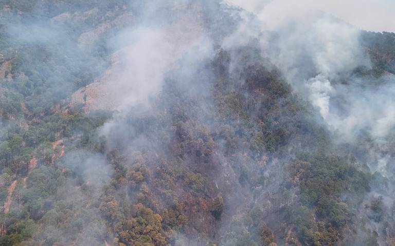 Gobernador de Michoacán pide aplicar plan para combatir incendio forestal en Uruapan