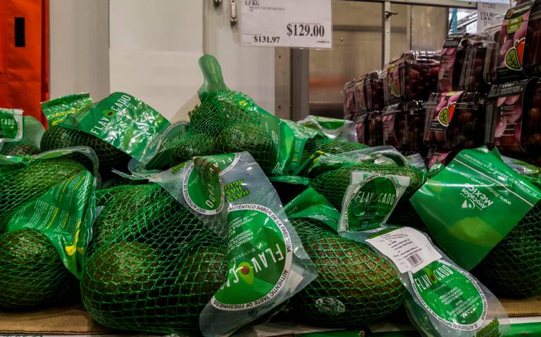 Importación de aguacate podría reanudarse con la visita de Ken Salazar