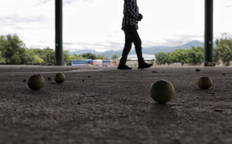 De nuevo, crimen organizado obliga el cierre de empacadoras de limón