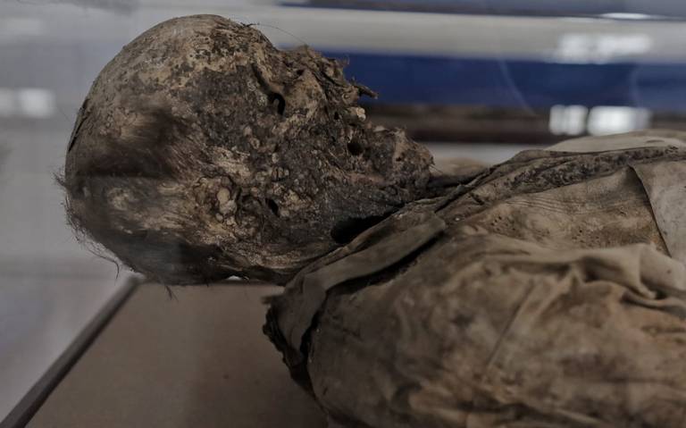 Después de dos meses reabren el museo de las momias municipal