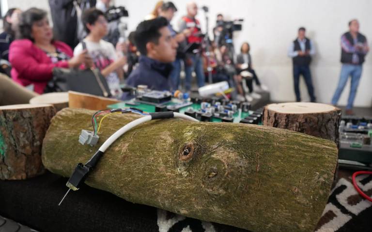 Aguacates consumen cuatro veces más agua que especies nativas en Michoacán