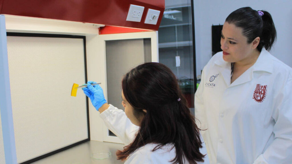 IPN crea parche inteligente para tratar heridas crónicas, como pie diabético