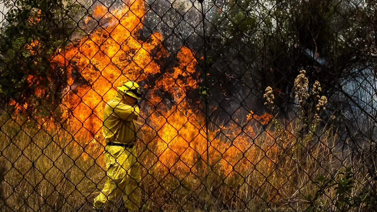 Atiende PC hasta 30 incendios en pastizales a la semana en Michoacán