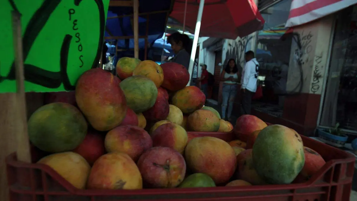 Disminuye producción de mango michoacano por cambio climático