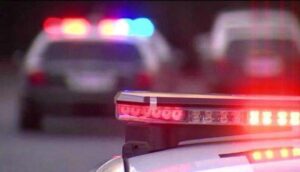 Fuerzas federales desmantelan campamento en Navolato, Sinaloa