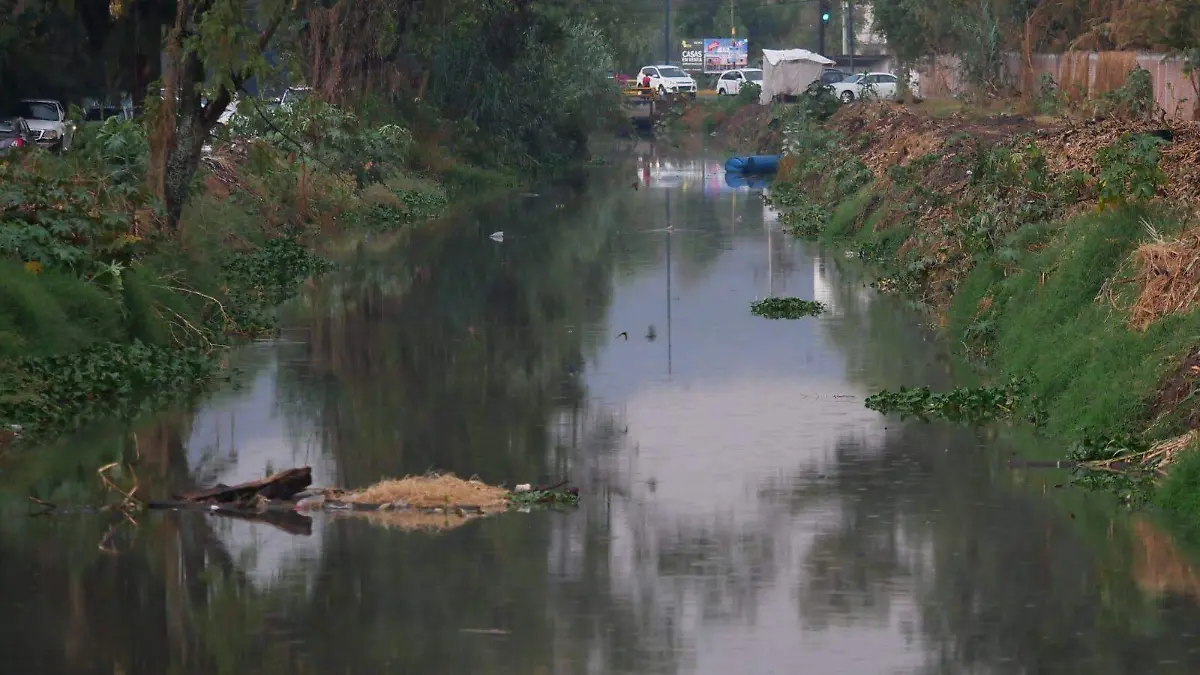 Ramas, lodo y basura, lo que dejó la lluvia de este pasado miércoles en Morelia