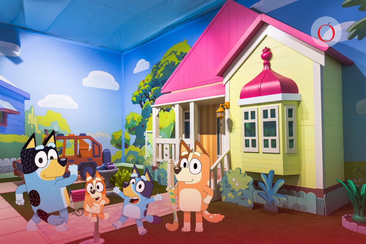 La familia Heeler toma la ciudad: Descubre los secretos detrás del fenómeno internacional "Bluey" en su gran debut mexicano.