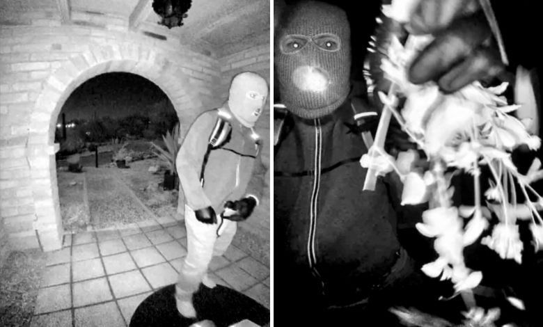 Difunden imágenes de sospechoso en desaparición de Nancy Guthrie